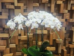 -园里火锅(仁和新城店)