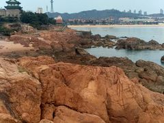 大堂-香格里拉鱼跃地中海西餐厅·牛排披萨