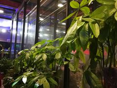 -阿记烧烤(大兴新区店)