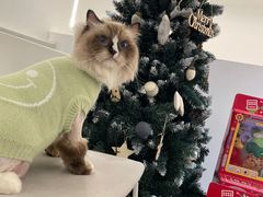 -comecome来吧宠物(奥克斯中心店)