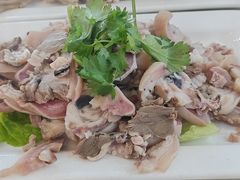 -杨记小骨头羊杂馆(南五马路店)