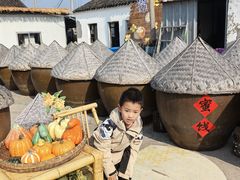 -苏州市吴中区光福窑上花果蜜饯厂