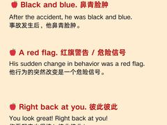 -引领英语·成人口语·雅思托福