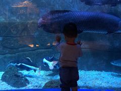 -成都浩海立方海洋公园