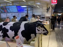 -红星前进面包牛奶公司(君太店)