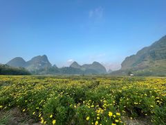 -靖西鹅泉风景区