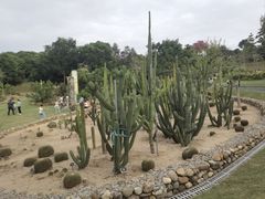 -东莞植物园