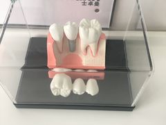 -天津市口腔医院(和平本部)
