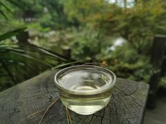 -南山植物园