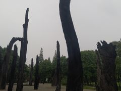 -金沙遗址博物馆