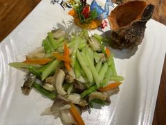 -椿不老