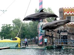 -秦皇岛乐岛海洋王国