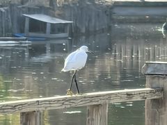 -石家庄市动物园