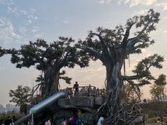 -九龙湖公园