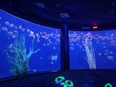 -沈阳海洋探索中心