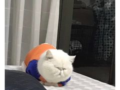 -德克士(崂山百货店)