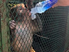 -藏龙百瀑风景区