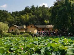 -韶山毛泽东同志故居