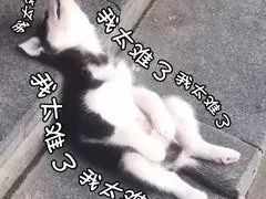 -舟山朱家尖威斯汀酒店·知味标帜自助餐厅
