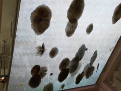 -桃园眷村(万象天地店)