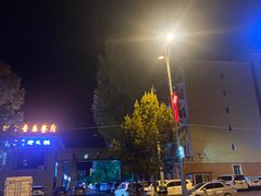-马旭土鸡焖花卷·真域顺西域美食(天马大道店)