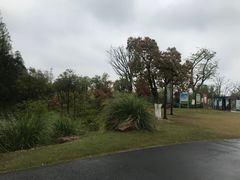 -上海长兴岛郊野公园