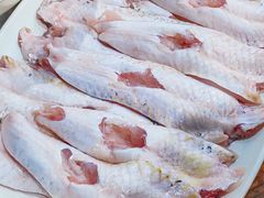 鲮鱼肚-章记正宗南岗鱼蛋火锅