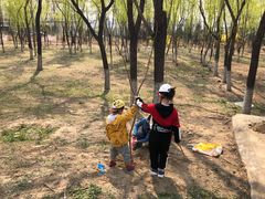 -大兴滨河森林公园