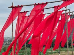 -光明小镇欢乐田园