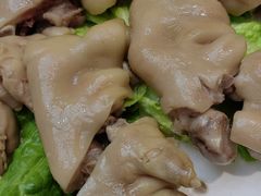 -丁老爷子苏香圆