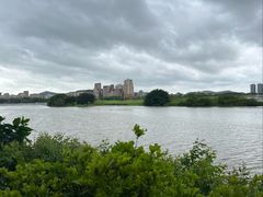 -顺德了能馆(虎门店)