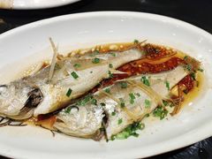 大叫叫鱼-健眺小海鲜(临海后山店)