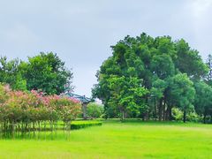 -福建鲤鱼洲酒店