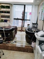 -碧莲盛·不剃发植发