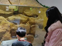 -上海昆虫博物馆