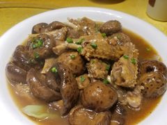 鲜菇扒掌亦-大笑饭堂(甲子桥店)