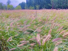 -汉长安城未央宫国家考古遗址公园