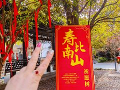 -南山风景名胜区