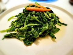 清炒豌豆尖-106餐厅(山水文园店)