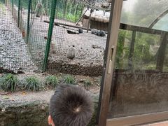 -杭州香格里拉·香宫中餐厅