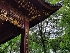 -汇龙潭