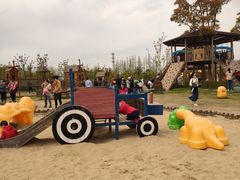 -上海长兴岛郊野公园