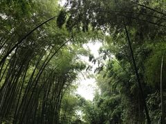 -竹野·上|老字号全竹宴