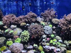 -珠海长隆海洋王国