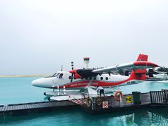 -中央格兰德岛温泉度假酒店 - 全包