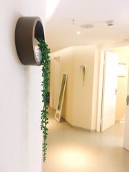 -深圳原色医疗美容