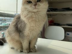 -乖乖乐动物医院(小汤山分院)