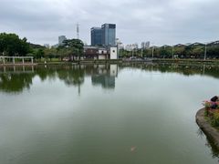 -紫马岭公园