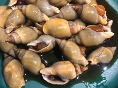 -海食焗(新光天地店)