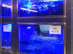 水产区-沱江鱼府(丽江店)
